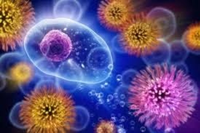Inmunoloxía e Técnicas de Citometría de Fluxo
