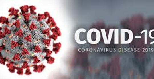 A crise do Coronovirus